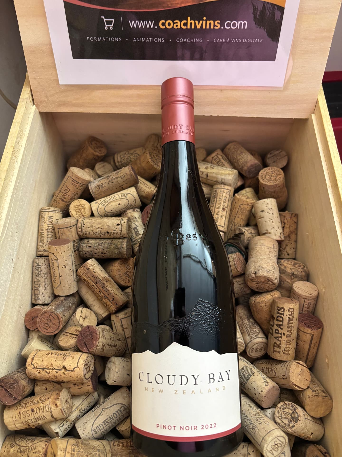 Pinot Noir