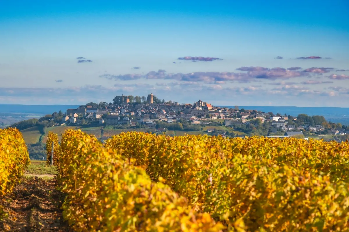 Sancerre : d'où vient ce goût de « pierre à fusil » ?